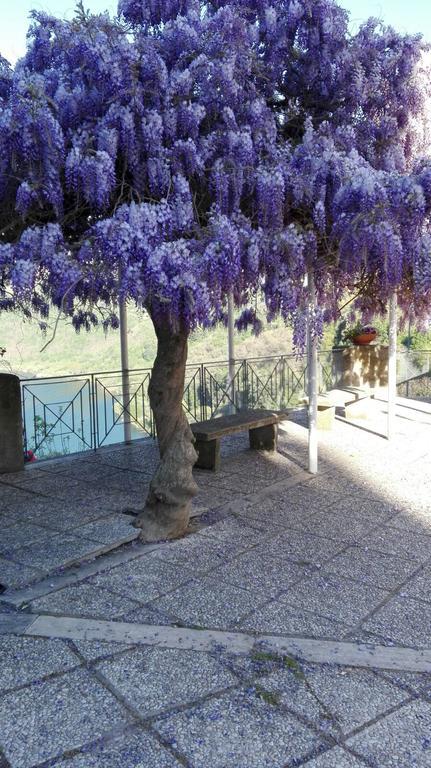 La Casa Di Milady Bed and Breakfast Genzano di Roma Buitenkant foto